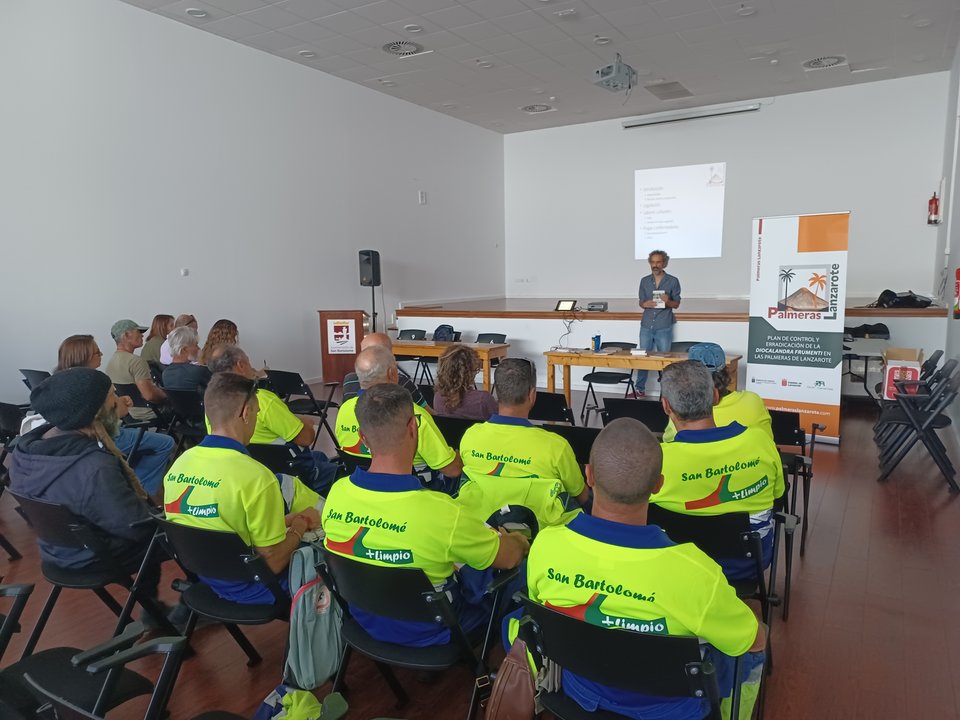 El Plan de Control y Erradicación de la Diocalandra frumenti en Lanzarote avanza en las tareas de formación de profesionales.