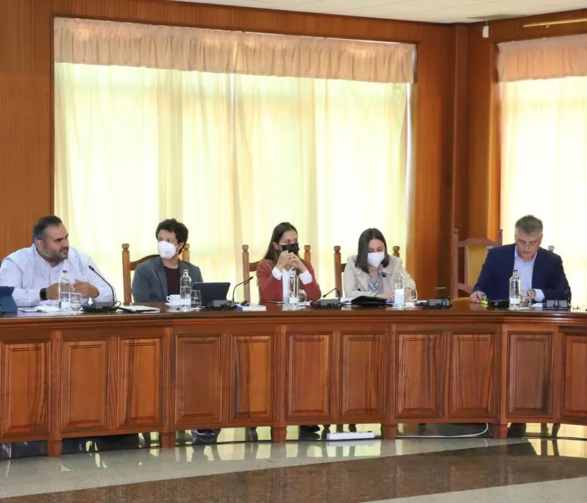 Grupo nacionalista en el Cabildo. A la derecha, David de la Hoz, el impulsor de la iniciativa