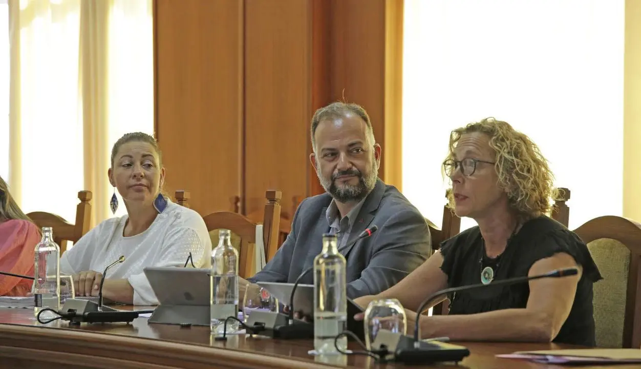 Grupo de Podemos en el Cabildo de Lanzarote