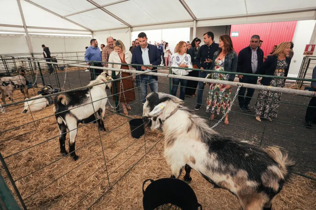 Feria Agrotecnológica y Ganadera de Teguise