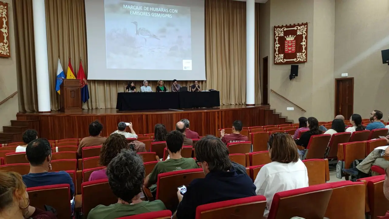 Charla sobre la hubara canaria