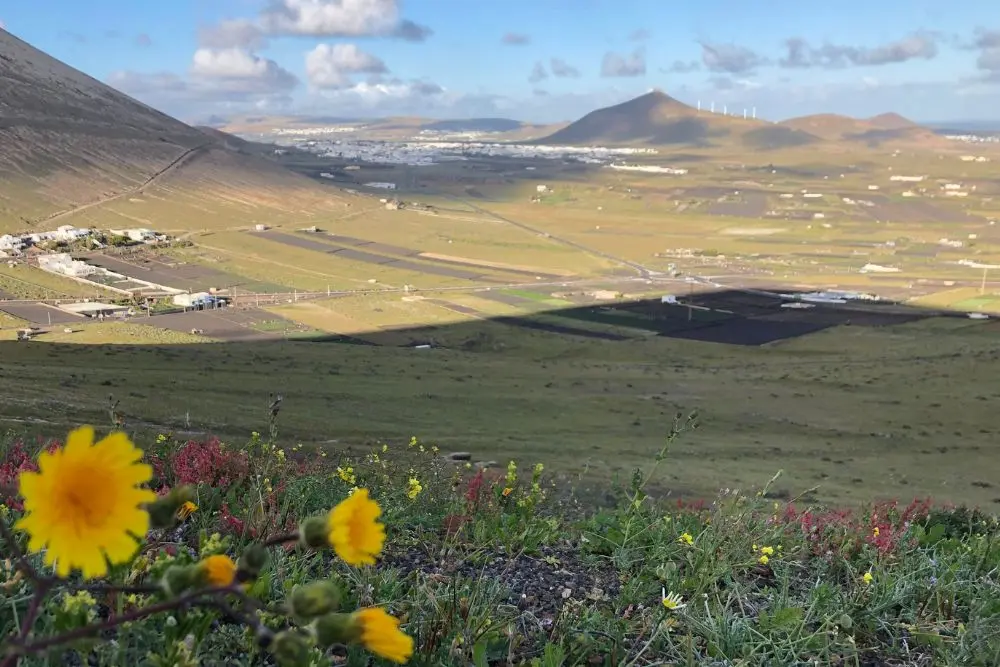 paisaje lanzarote