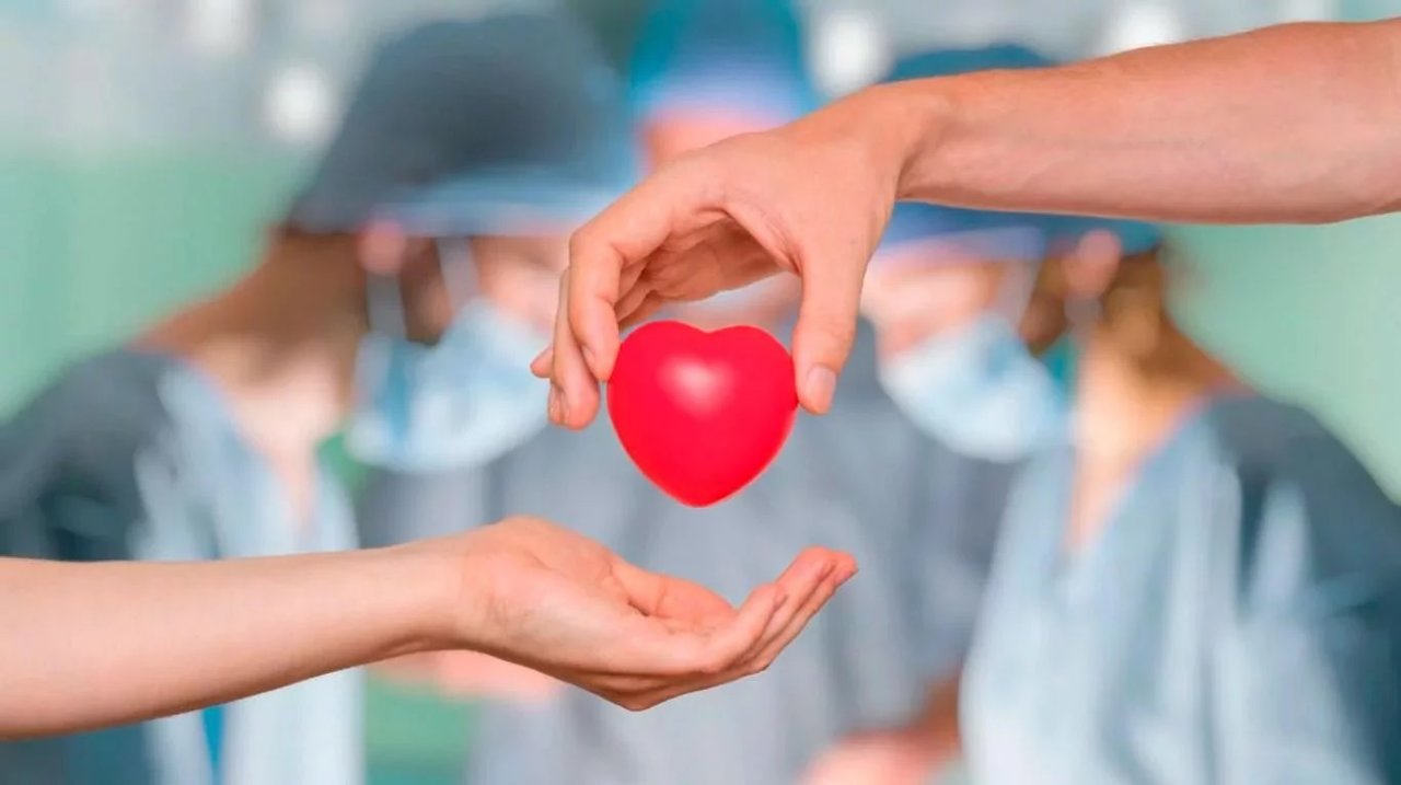 Canarias es líder en donación de órganos