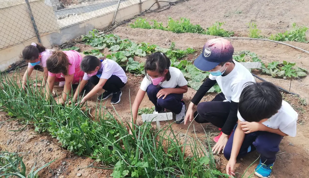 Estudiantes en los huertos escolares 