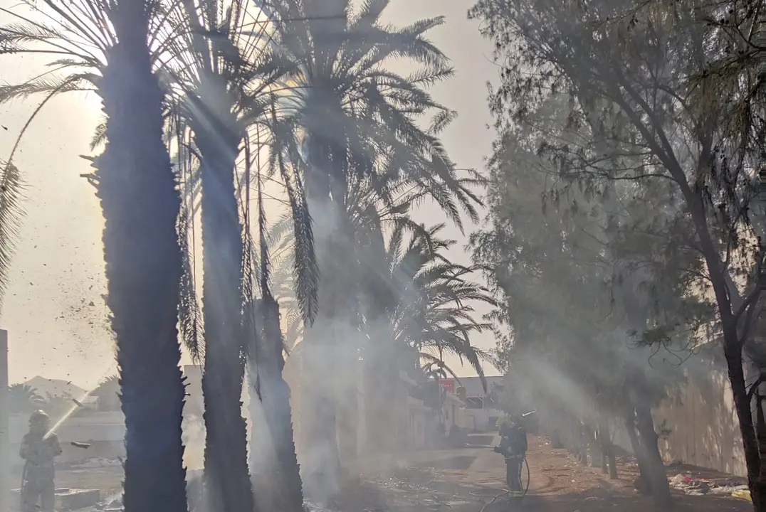 Incendio de las palmeras en Arrecife