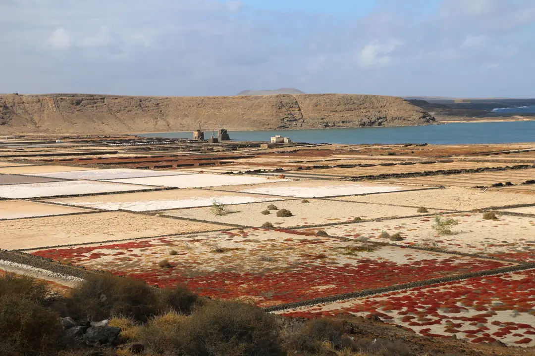 Molinos en las Salinas de Janubio