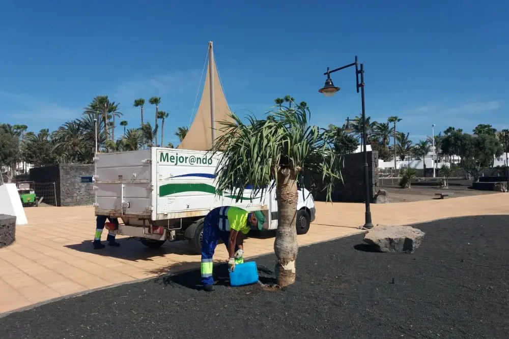 Operario de mantenimiento del Ayuntamiento de Tías