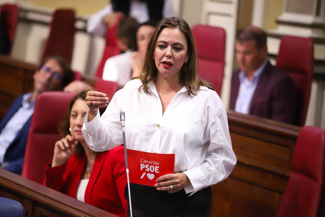 María Dolores Corujo en el Parlamento