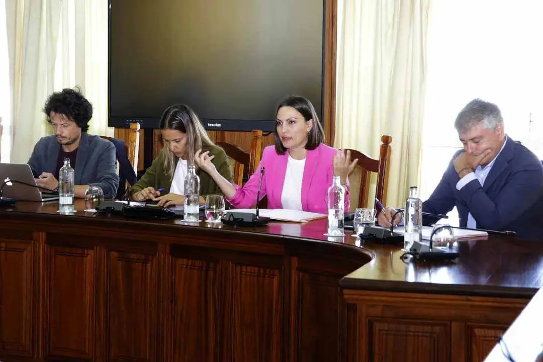 Grupo de CC en el Cabildo de Lanzarote