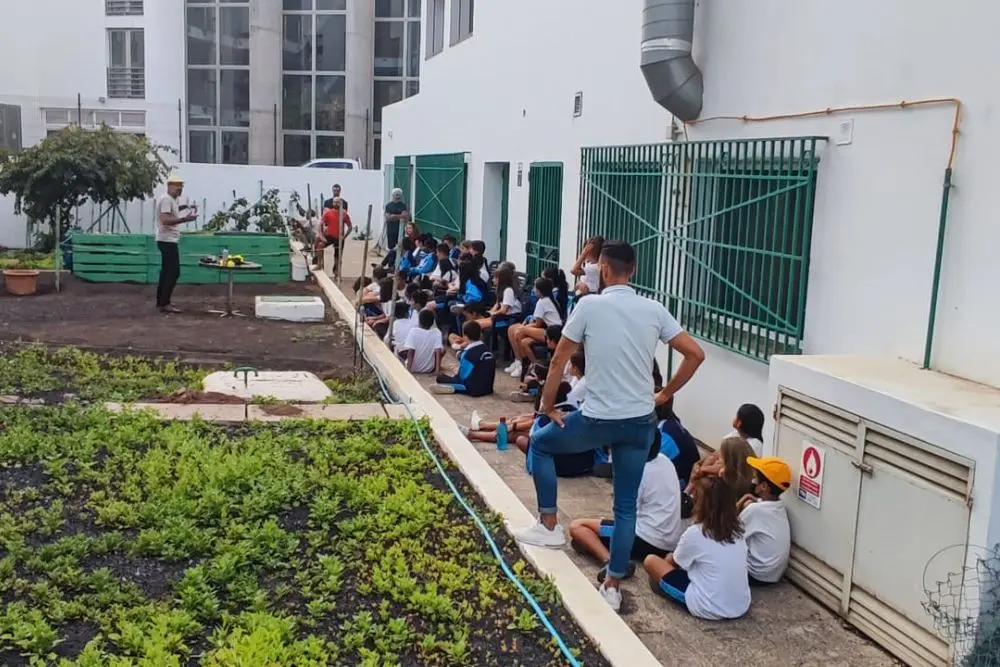 Proyecto Audaces en el huerto escolar