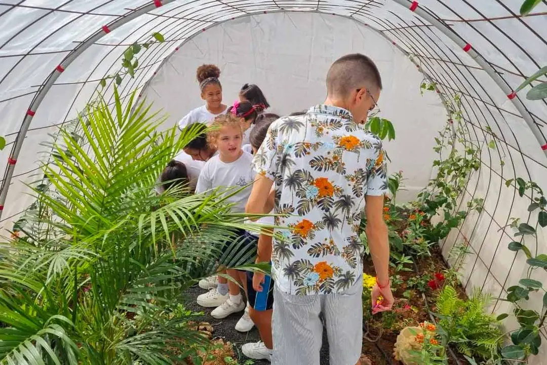 El CEIP Benito Méndez Tarajano construye un mariposario