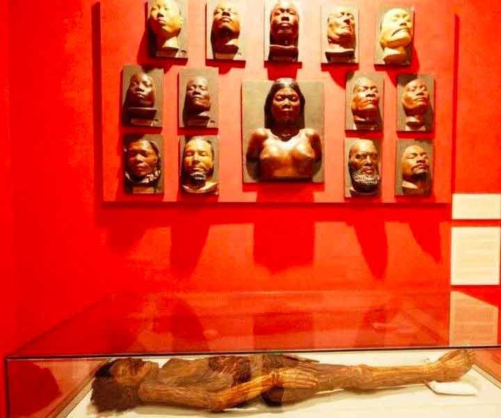 Momia que el Museo Arqueológico no quiere devolver a Canarias