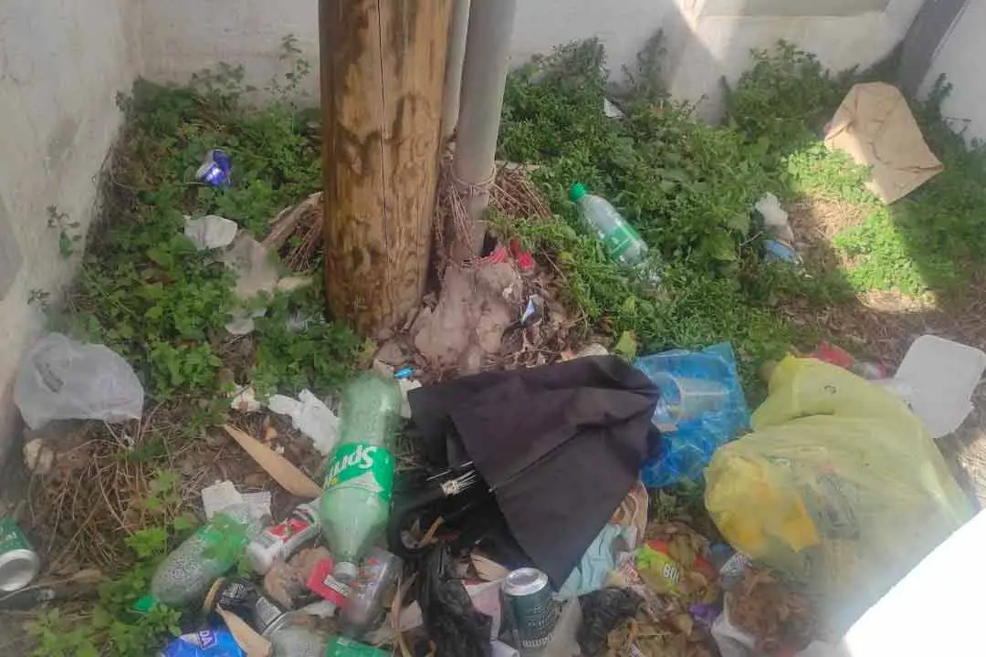 Basura que denuncia CC en Tías