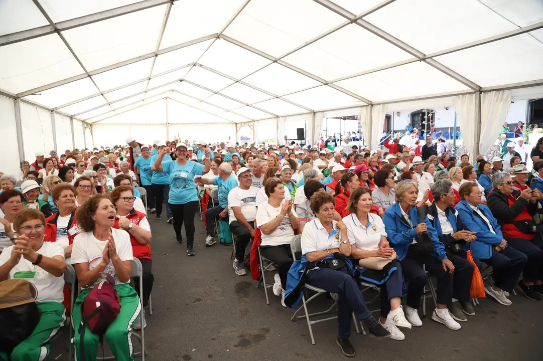 XXI Torneo de Bola Canaria de Madera,