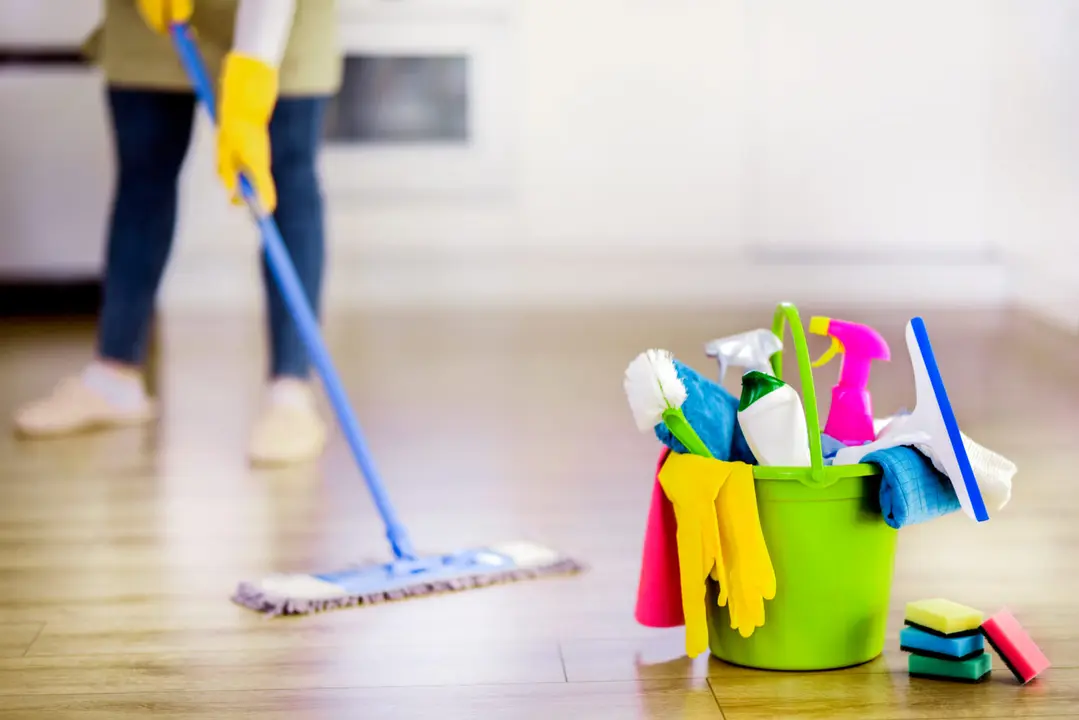 Trabajadora del hogar