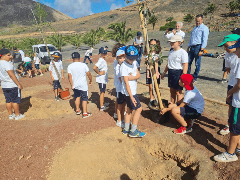 Plantación en la zona de la Casa Mayor Guerra