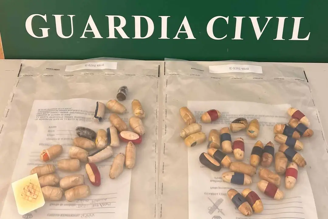 Bellotas incautadas por la Guardia Civil