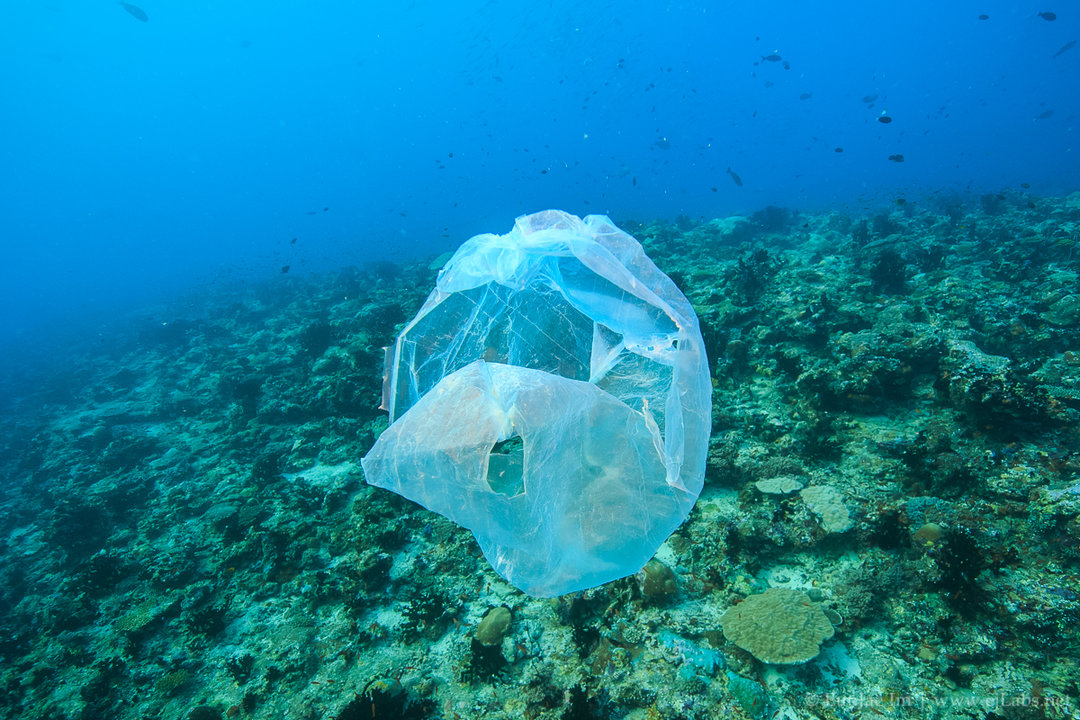 floating plastic bag