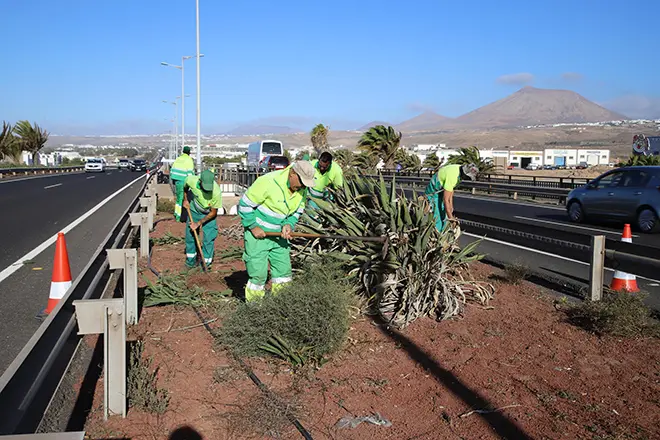 Limpieza de márgenes de carreteras en lanzarote.