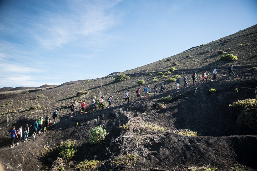 Pateada por los volcanes organizada por la Muestra de Cine de Lanzarote en 2018, en la que se aprecian ejemplares de vinagrera. Foto Javier fuentes.