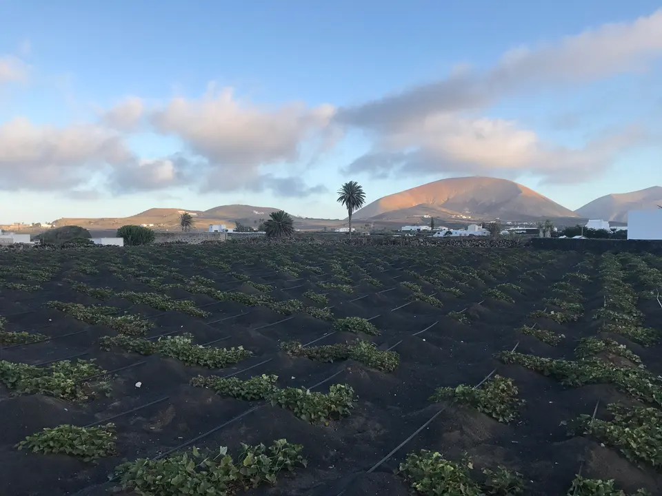 Finca agrícola.