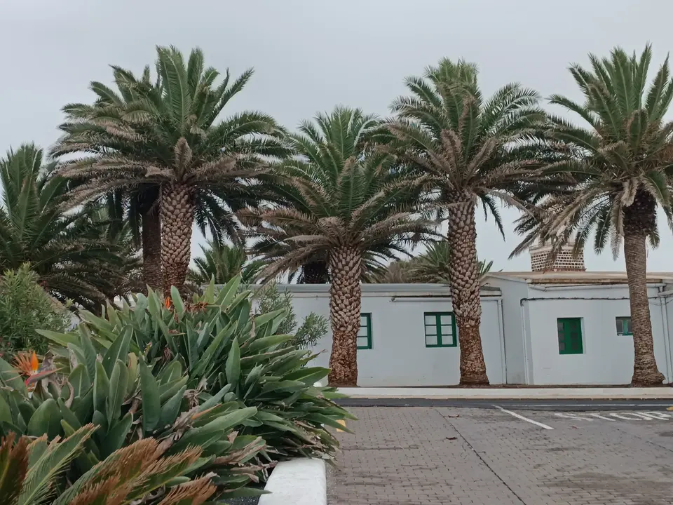 Villa de Teguise.