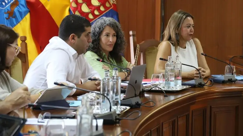 Representantes del PSOE en el Cabildo.