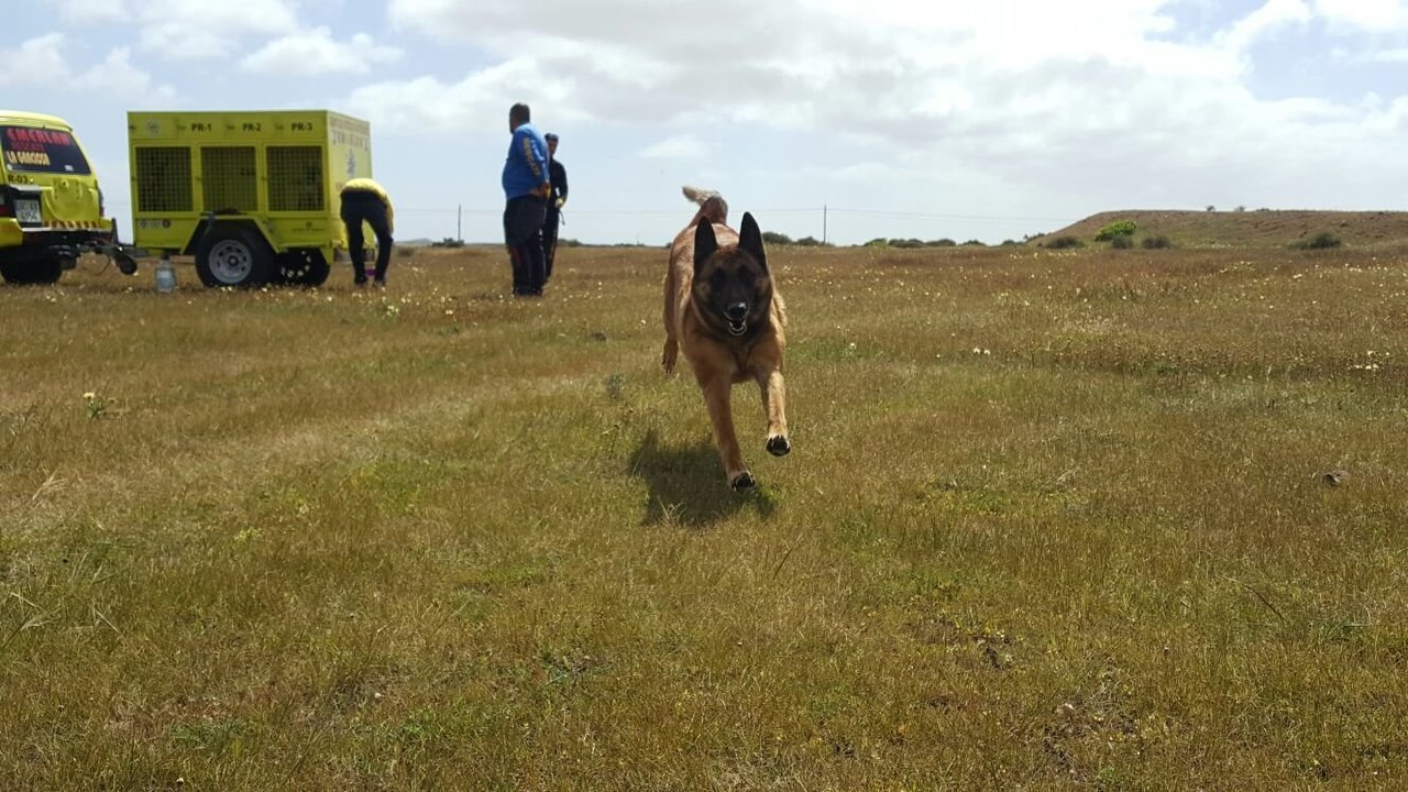 Grupo de Rescate Canino de Emerlan.