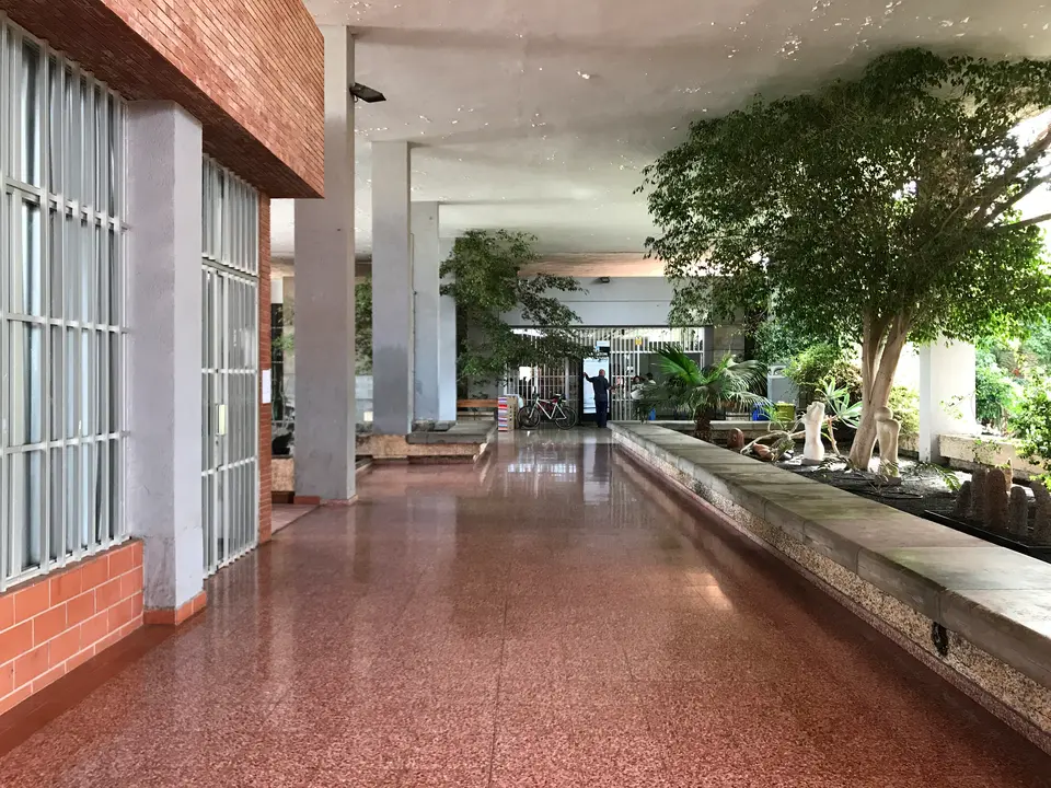 Escuela de Arte Pancho Lasso, acceso desde el jardín.