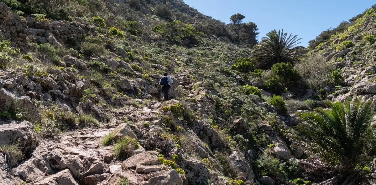 Barranco de Elvira Sánchez, Haría.