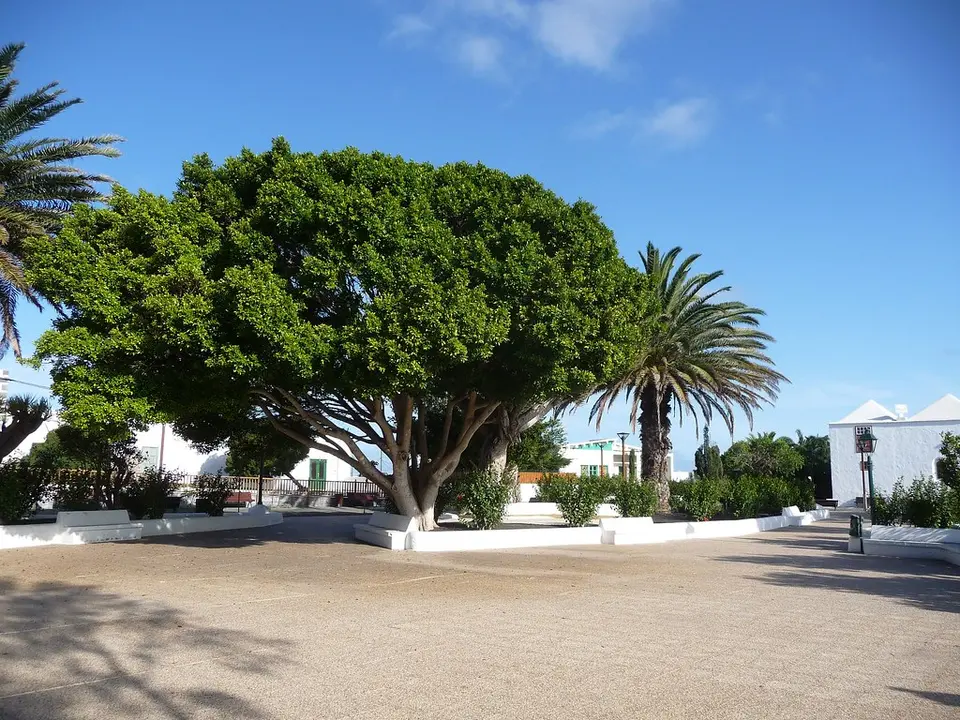 Plaza de San Roque, Tinajo.