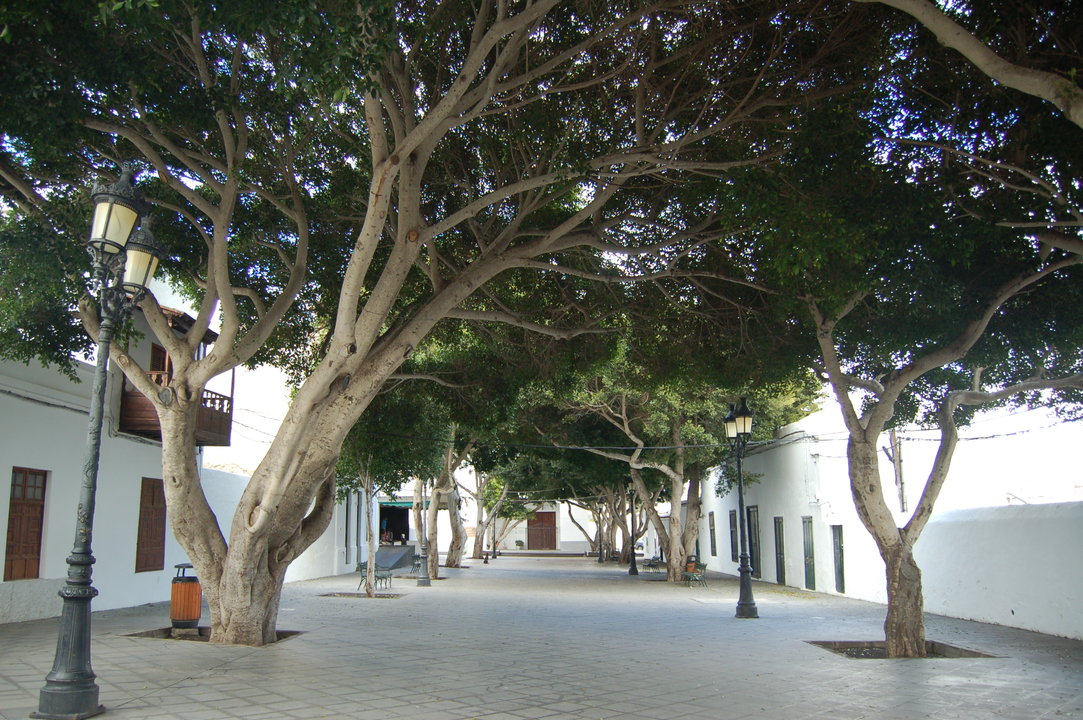 Plaza de Haría.