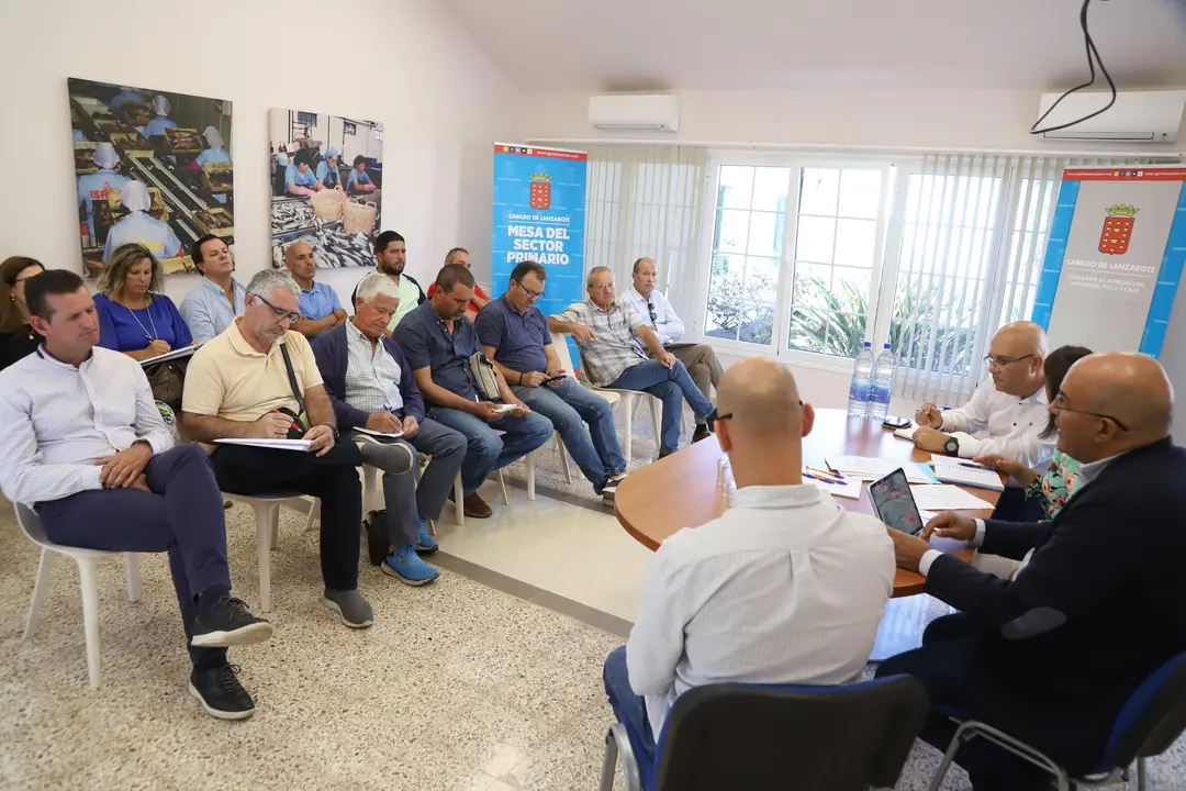 El director general de Agricultura con las asociaciones agrícolas de Lanzarote.