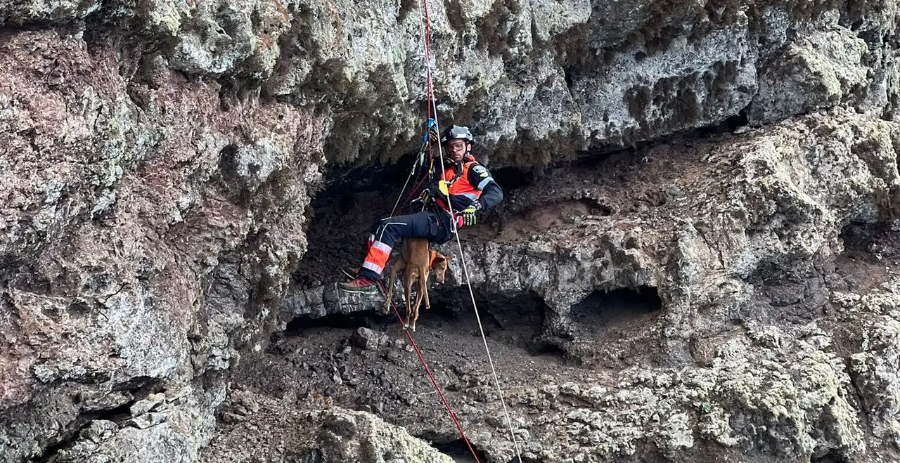 Imagen del rescate del podenco.