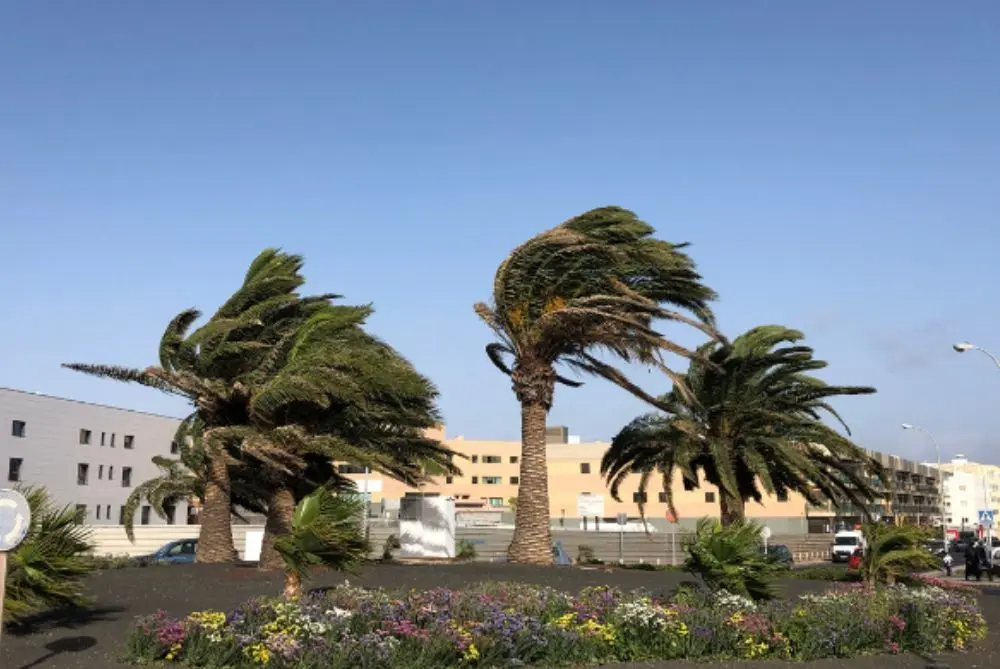 Fuertes rachas de viento en Lanzarote.