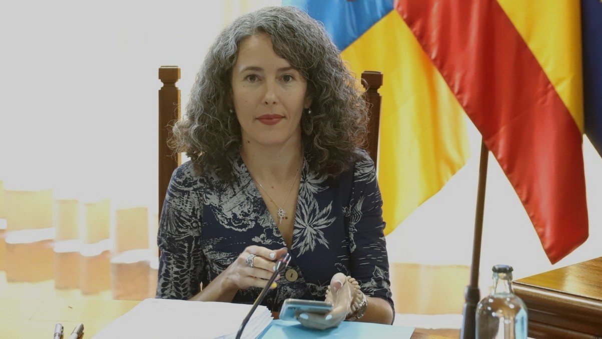 Ariagona González, consejera del Cabildo por el PSOE.