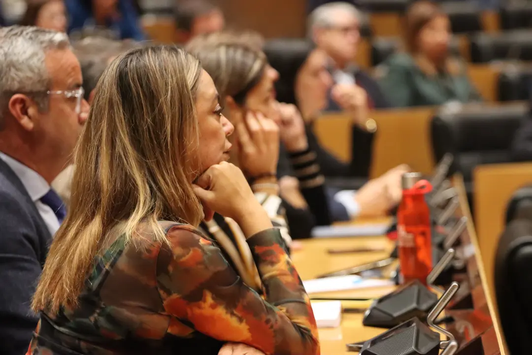 Loli Corujo en el Congreso de los Diputados.