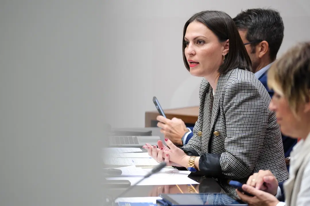 La consejera de Universidades, Ciencia e Innovación y Cultura del Gobierno de Canarias, Migdalia Machín, comparece en comisión parlamentaria. Foto Alberto Valdés, EFE.