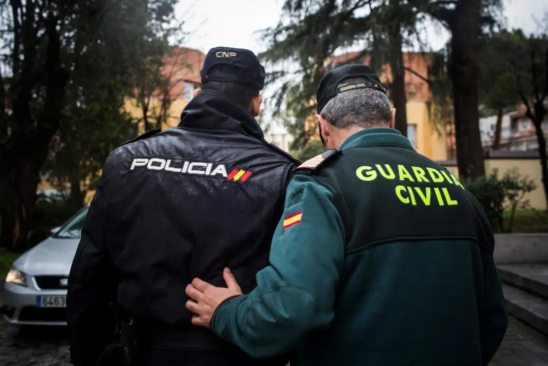 Agentes de la Policía Nacional y de la Guardia Civil.