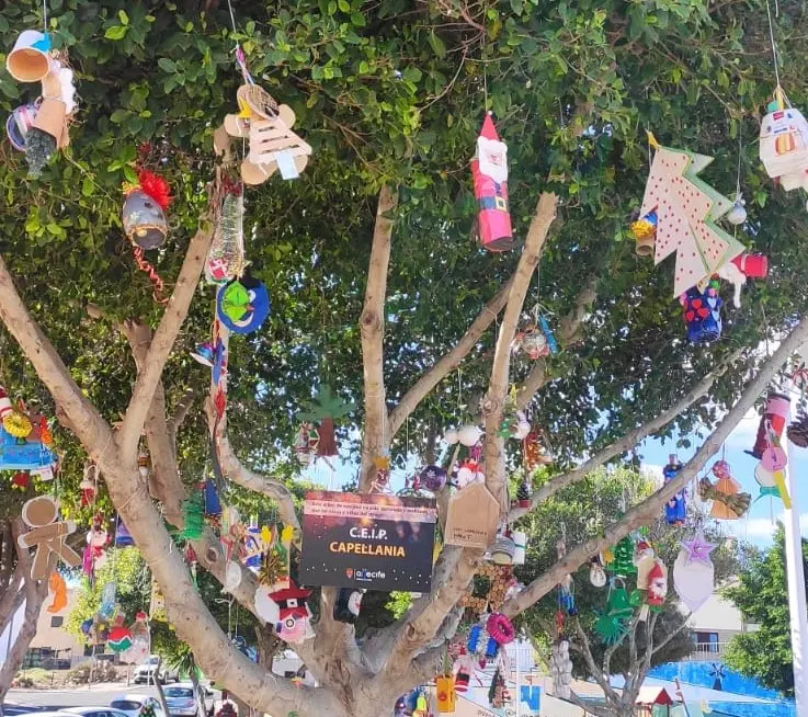 Árboles decorados por los escolares de Arrecife.