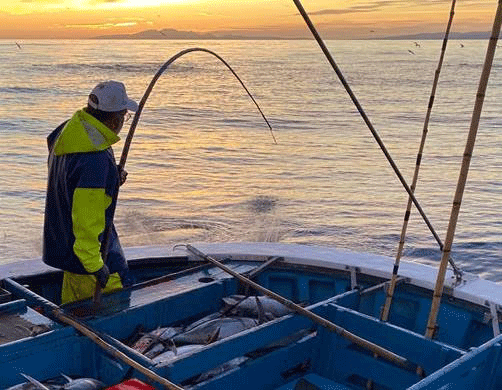 Imagen de archivo de una embarcación de pesca