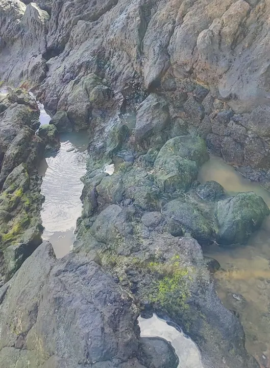 Vertidos en Playa Grande de Punta Mujeres.