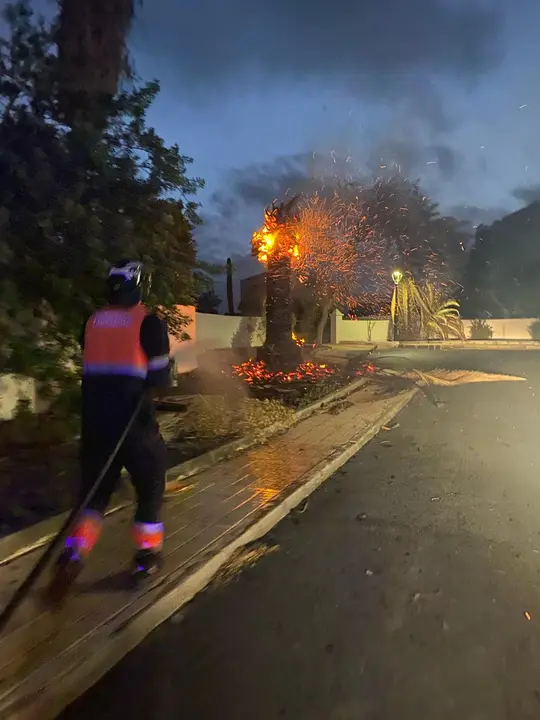 Incendio palmera Costa Teguise