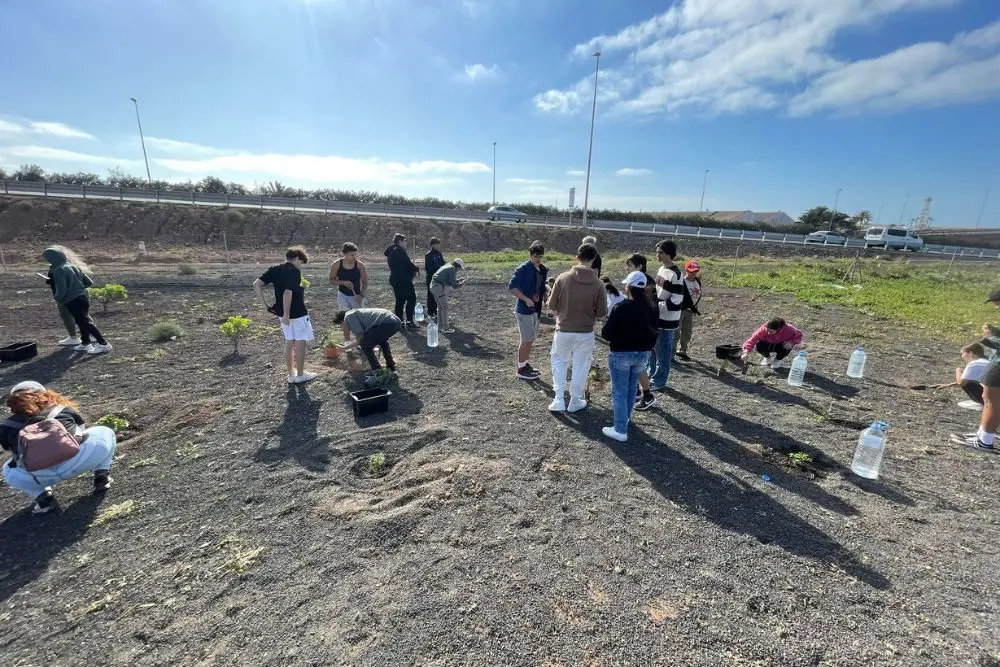 Momento de la plantación