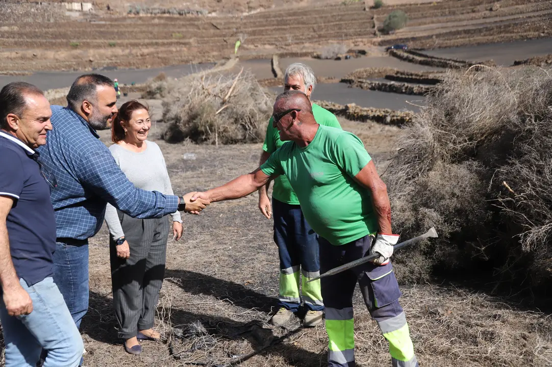 Limpieza de fincas Guigua.