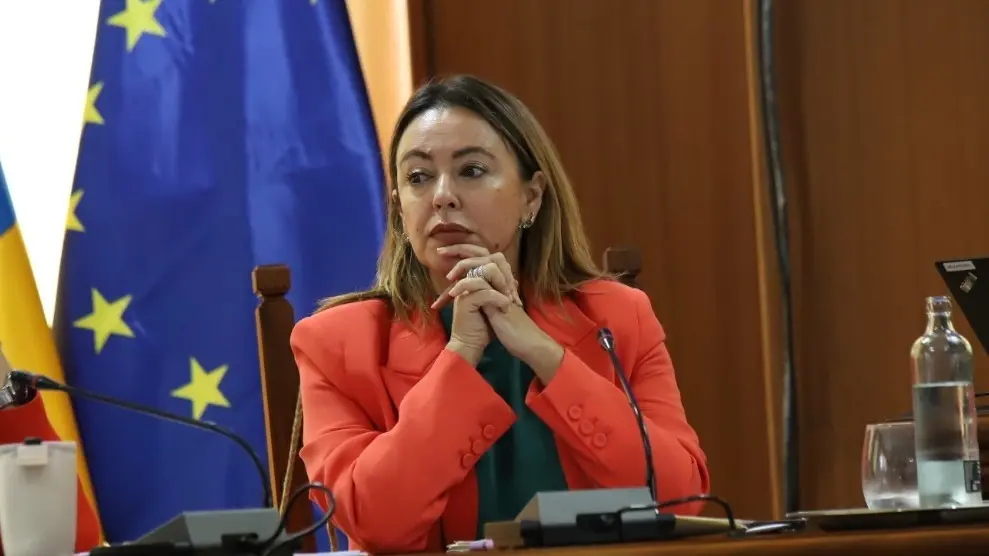 Loli Corujo en el Pleno del Cabildo de Lanzarote.