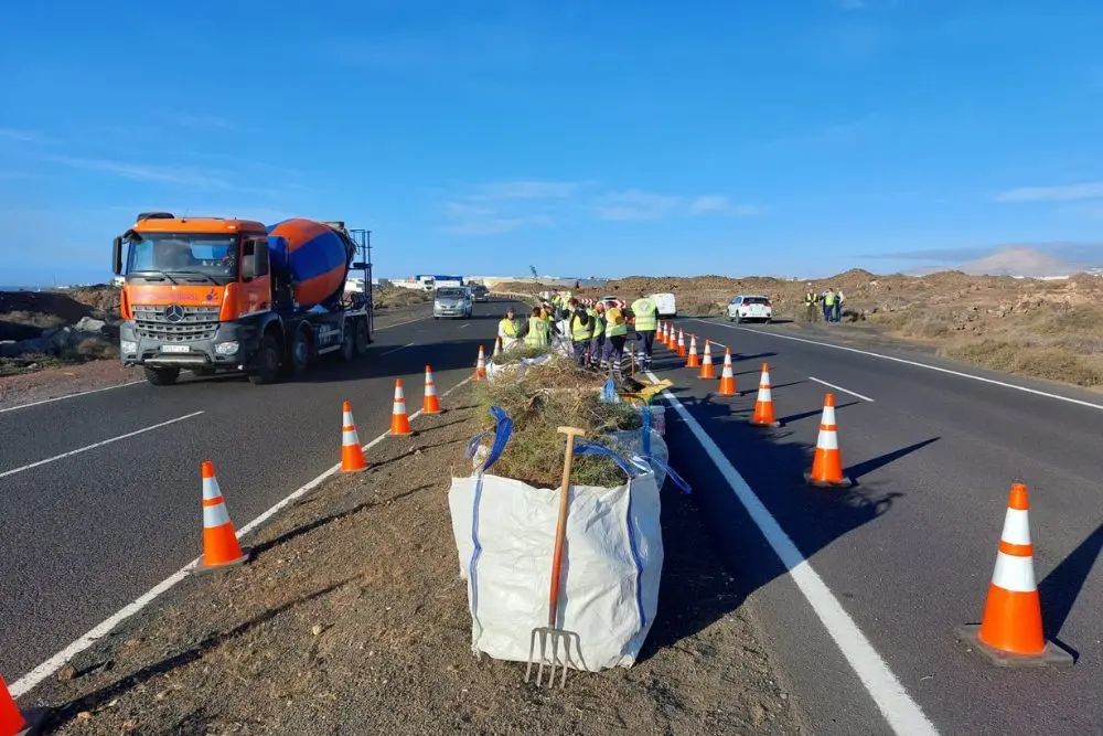 Limpieza de los márgenes de carretera