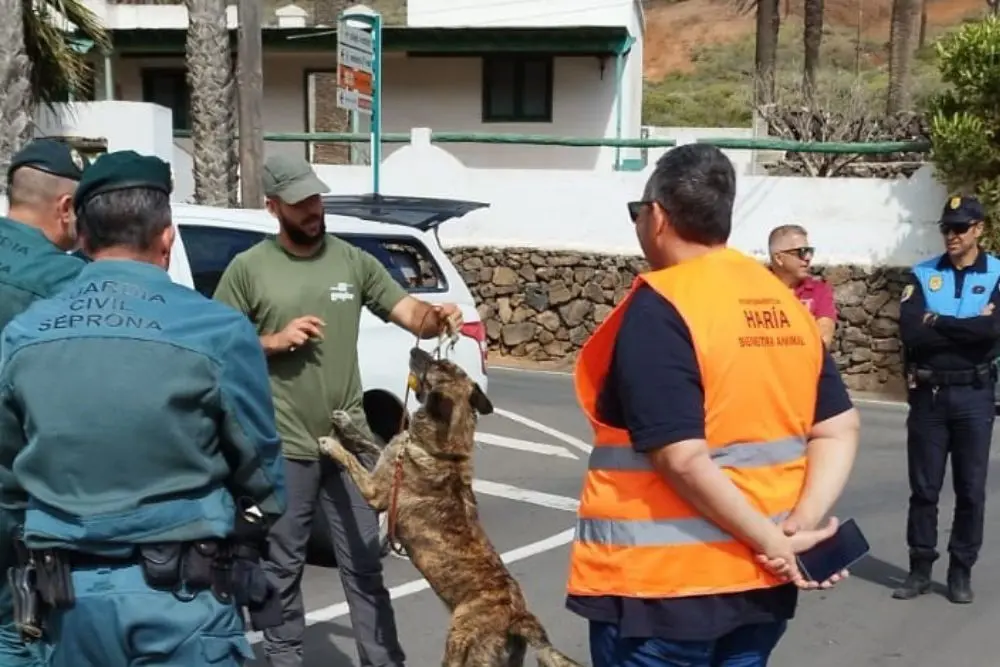 Inspeccción en el municipio de Haría