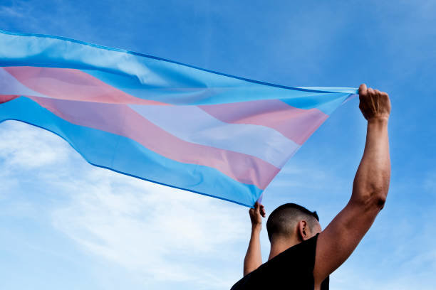 Bandera trans.