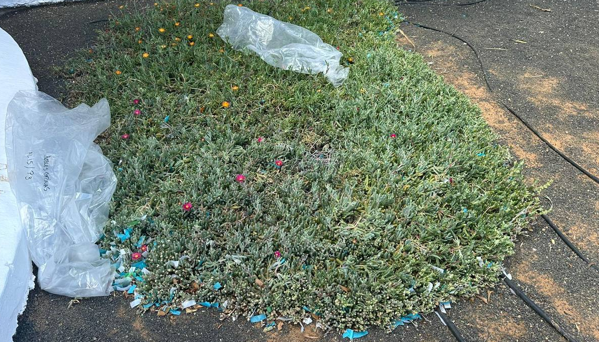 Basura tras la Feria de Abril.